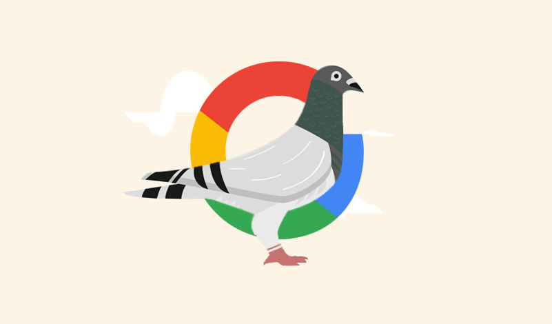 الگوریتم کبوتر گوگل چیست؟